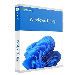 Windows 11 Professional