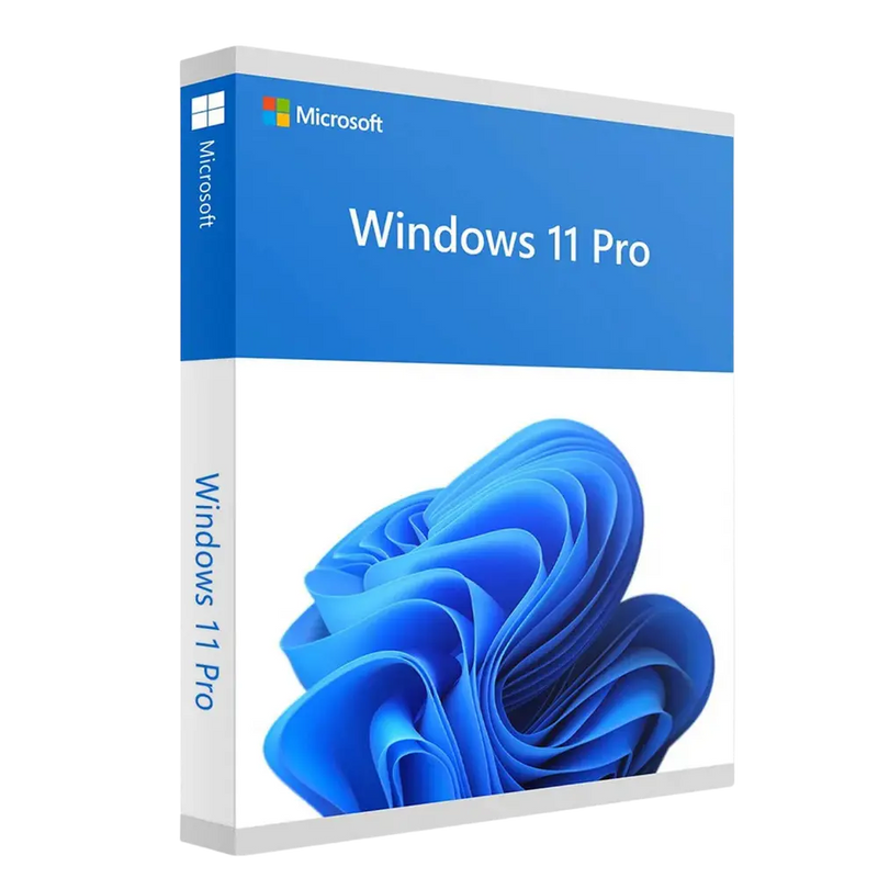 Windows 11 Professional